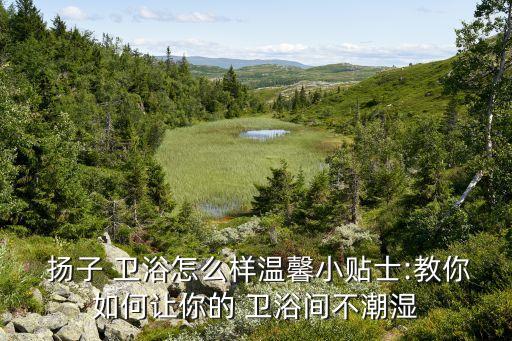  揚(yáng)子 衛(wèi)浴怎么樣溫馨小貼士:教你如何讓你的 衛(wèi)浴間不潮濕