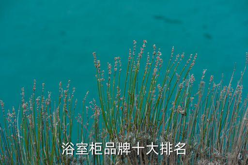 瓷磚衛(wèi)浴服裝店鋪推薦圖片