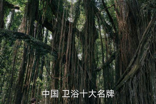 中國 衛(wèi)浴十大名牌