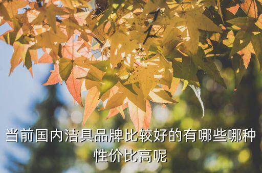 水東便宜衛(wèi)浴有哪些品牌