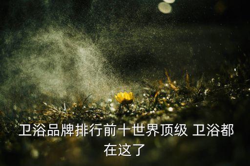十大衛(wèi)浴國(guó)際品牌,衛(wèi)浴十大品牌排行榜前十名