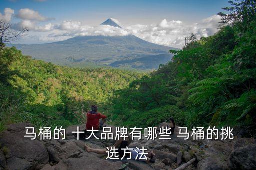  馬桶的 十大品牌有哪些 馬桶的挑選方法