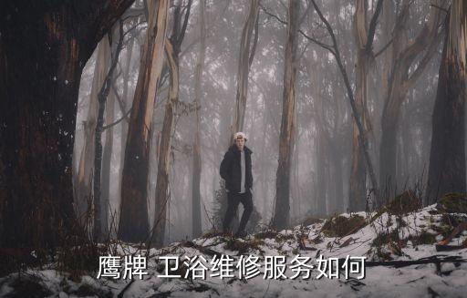 衛(wèi)浴質(zhì)保承諾書范本圖片,電梯配件質(zhì)保承諾書范本