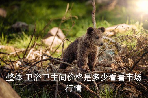 華派衛(wèi)浴洗手池圖片欣賞