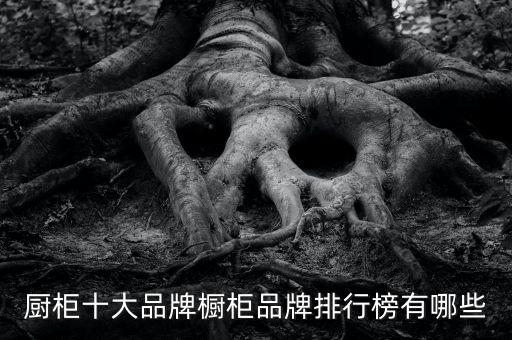 衛(wèi)浴柜帶羅馬柱嗎好嗎圖片