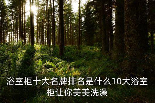 品牌衛(wèi)浴市場份額,衛(wèi)浴品牌排行榜前十名有哪些