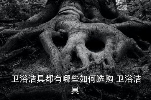 頂樓衛(wèi)浴怎么選擇品牌型號