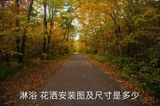 淋浴 花灑安裝圖及尺寸是多少