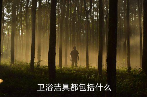弧形鏡子衛(wèi)浴好不好看圖片