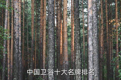 南京買(mǎi)衛(wèi)浴品牌哪里好,科維思衛(wèi)浴是哪里的品牌