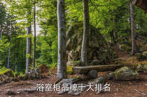 浴室柜品牌十大排名