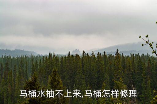 馬桶水抽不上來,馬桶怎樣修理