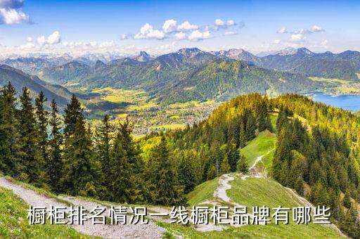櫥柜排名情況一線櫥柜品牌有哪些