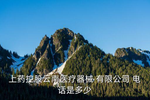 上藥控股云南醫(yī)療器械 有限公司 電話是多少