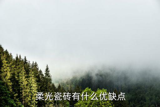  柔光瓷磚有什么優(yōu)缺點