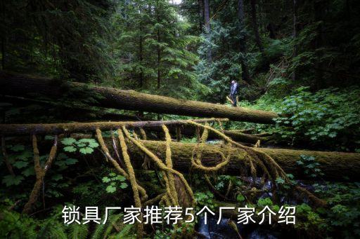 鎖具廠家推薦5個(gè)廠家介紹
