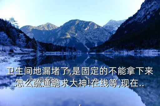 衛(wèi)生間地漏堵了,是固定的不能拿下來怎么疏通跪求大神!在線等,現(xiàn)在...
