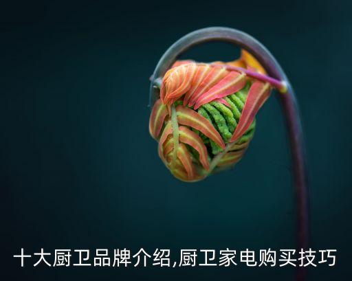 十大廚衛(wèi)品牌介紹,廚衛(wèi)家電購買技巧