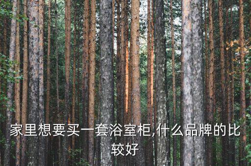 家里想要買(mǎi)一套浴室柜,什么品牌的比較好