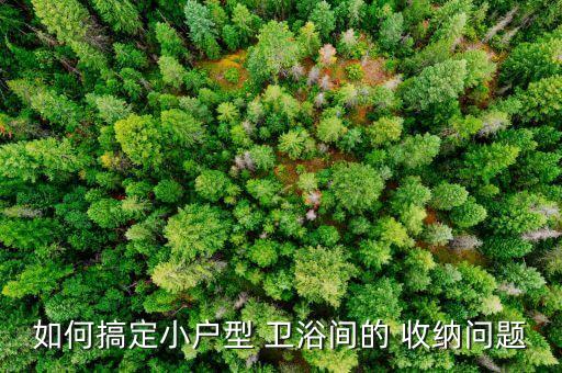 如何搞定小戶型 衛(wèi)浴間的 收納問題
