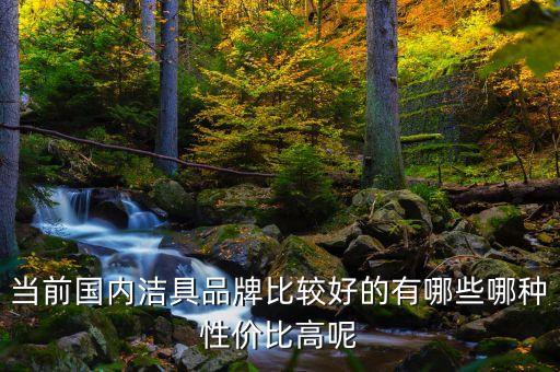 當(dāng)前國(guó)內(nèi)潔具品牌比較好的有哪些哪種性價(jià)比高呢