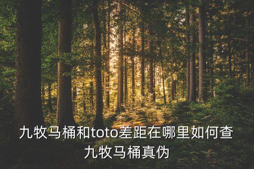九牧馬桶和toto差距在哪里如何查九牧馬桶真?zhèn)? class=