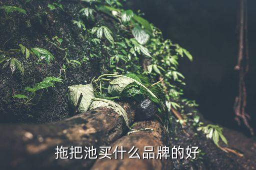 尉氏縣品牌衛(wèi)浴店在哪