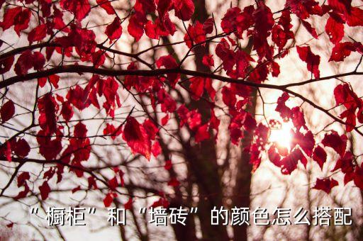 櫥柜衛(wèi)浴瓷磚圖片,鋁合金瓷磚櫥柜尺寸及做法圖片