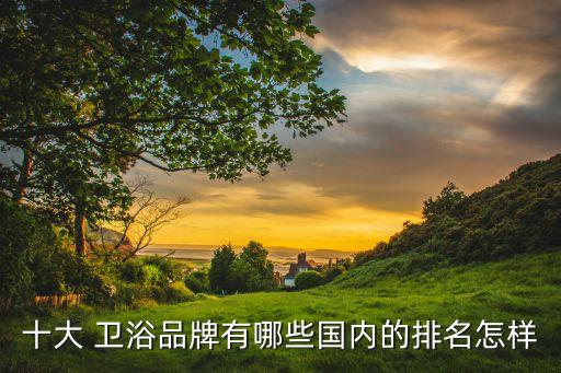 十大 衛(wèi)浴品牌有哪些國(guó)內(nèi)的排名怎樣