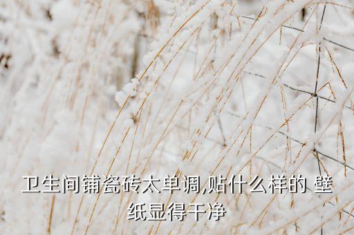 衛(wèi)浴間怎么貼壁紙圖片大全