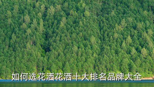 如何選花灑花灑十大排名品牌大全