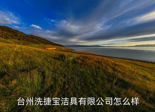  臺州洗捷寶潔具有限公司怎么樣