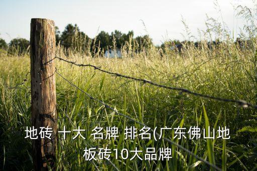 名牌衛(wèi)浴十大品牌瓷磚排名,中國(guó)十大名牌瓷磚膠有哪些品牌
