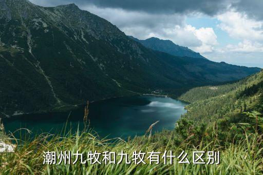 九牧衛(wèi)浴是哪里的品牌啊,衛(wèi)浴箭牌和九牧哪個品牌好