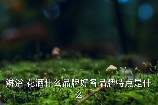 淋浴 花灑什么品牌好各品牌特點是什么