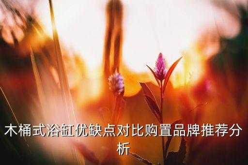 木桶式浴缸優(yōu)缺點(diǎn)對(duì)比購(gòu)置品牌推薦分析