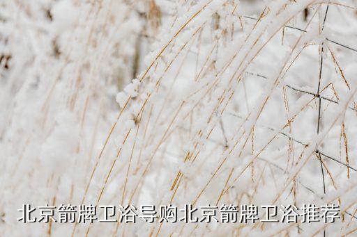 北京箭牌衛(wèi)浴導(dǎo)購北京箭牌衛(wèi)浴推薦