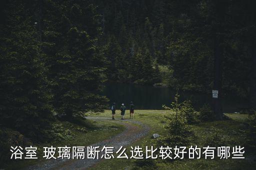 衛(wèi)浴隔離玻璃最好的品牌,衛(wèi)浴玻璃品牌排行榜
