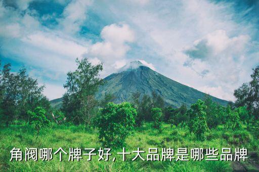 衛(wèi)浴用的三角閥圖片,衛(wèi)浴三角閥斷了怎么辦