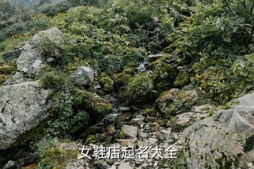國內(nèi)衛(wèi)浴品牌女鞋店鋪名字