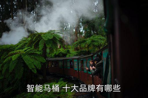 智能馬桶 十大品牌有哪些