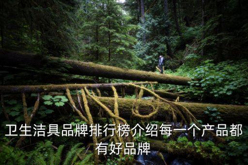 衛(wèi)生潔具品牌排行榜介紹每一個產品都有好品牌