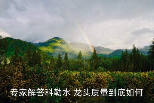 專家解答科勒水 龍頭質量到底如何