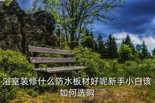 衛(wèi)浴柜內(nèi)擋板圖片大全集