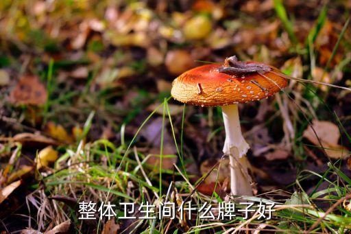 整體衛(wèi)浴品牌折扣批發(fā)衣服