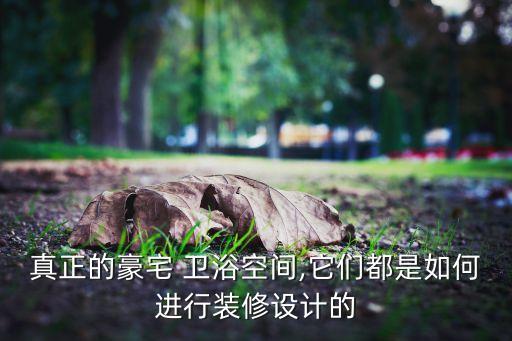 真正的豪宅 衛(wèi)浴空間,它們都是如何進(jìn)行裝修設(shè)計(jì)的