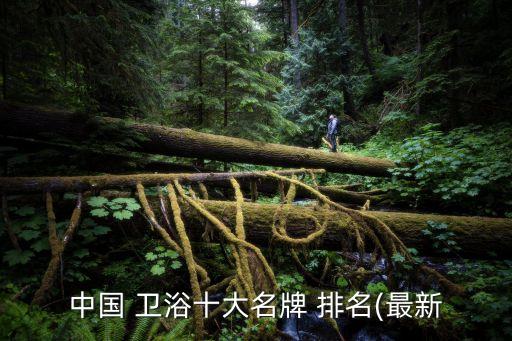 中國 衛(wèi)浴十大名牌 排名(最新