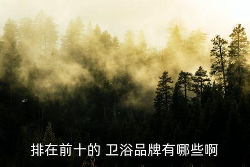 排在前十的 衛(wèi)浴品牌有哪些啊