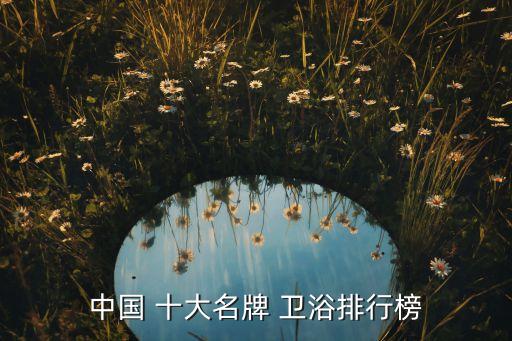 中國 十大名牌 衛(wèi)浴排行榜