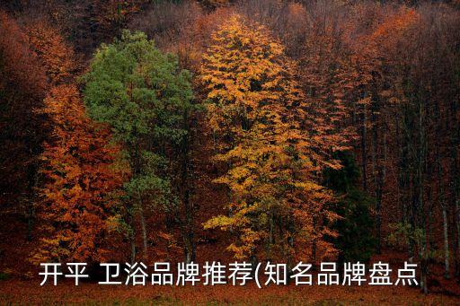 開平 衛(wèi)浴品牌推薦(知名品牌盤點